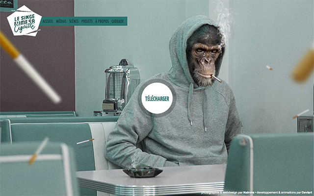 �W(w��ng)վ���O(sh��) �W(w��ng)��O(sh��)Ӌ�L�� �W(w��ng)��O(sh��)Ӌ �W(w��ng)վ�Ñ��w�